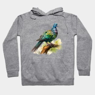 Nicobar Pigeon Hoodie